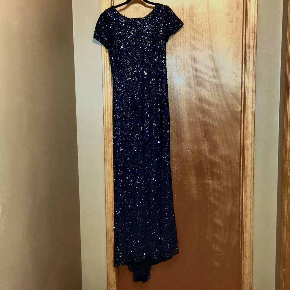 Adrianna Papell Long Dress